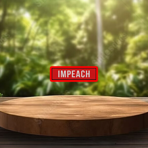 Anti Trump Impeach 45th President Sticker, Car Magnet