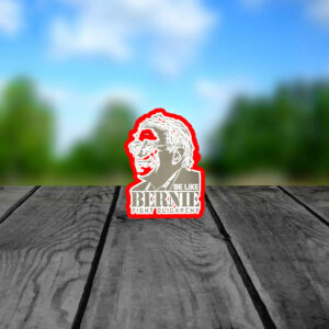 Be Like Bernie Fight Oligarchy, Don't Let The Oligarchy 2025 Sticker, Car Magnet