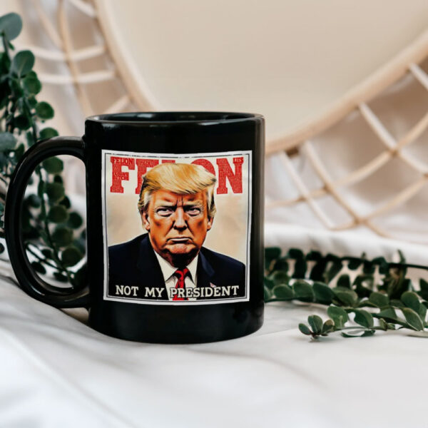 Felon Not My President 2025 Anti Trump Mug