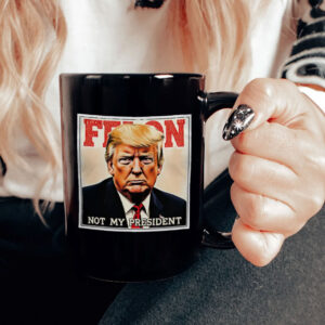 Felon Not My President 2025 Anti Trump Mug