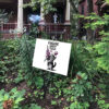 Flowers Foxglove Daisy Tulip, Cat Anti Trump 2025 Yard Sign