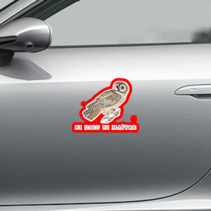Ni Dieu Ni Maître, No God No Master, Anti Trump Sticker, Car Magnet