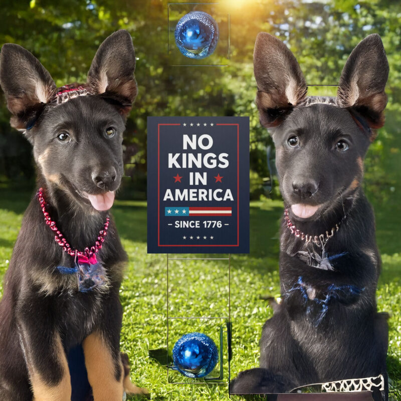 No Kings In America Yard Sign