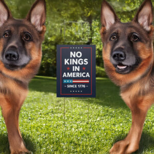 No Kings In America Yard Sign